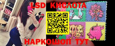 индика Аргун