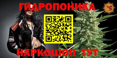 индика Аргун