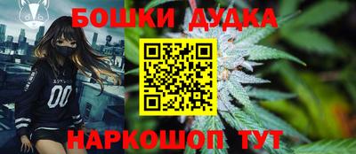 индика Аргун