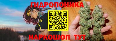 индика Аргун