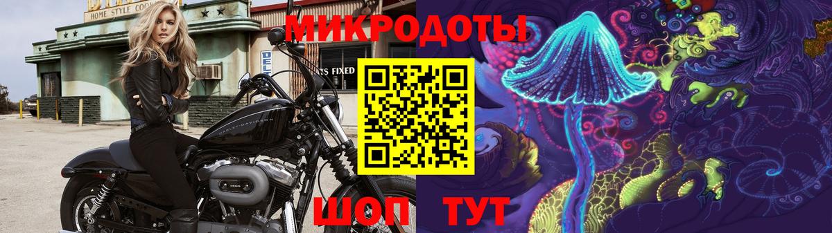 Городец  Галлюциногенные грибы мицелий  продажа наркотиков  Псилоцибиновые грибы Cubensis  Вход с VPN 