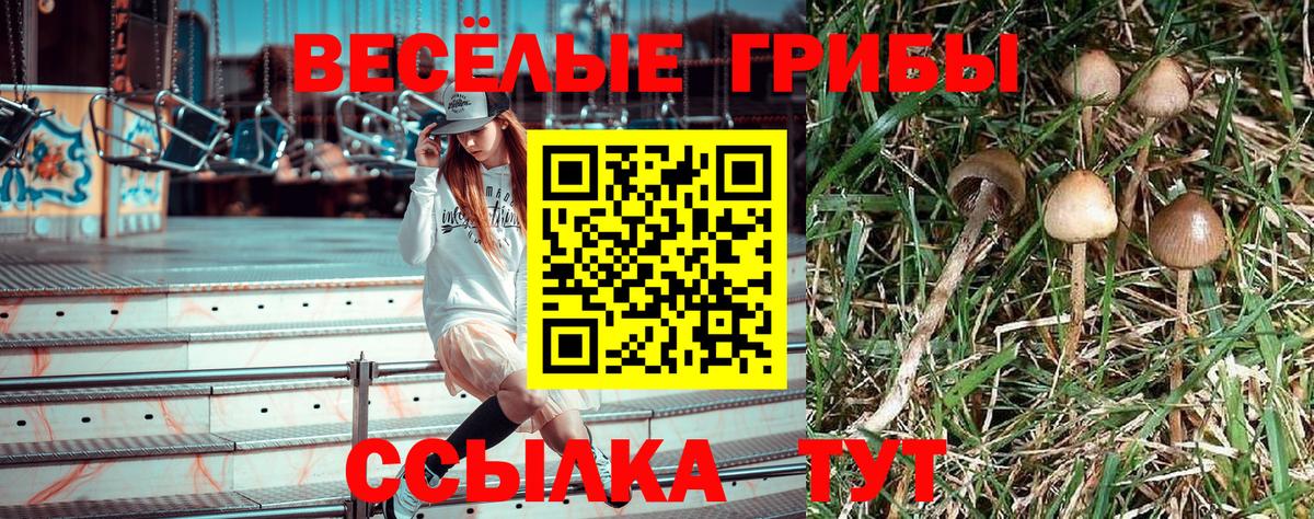 Псилоцибиновые грибы прущие грибы Городец
